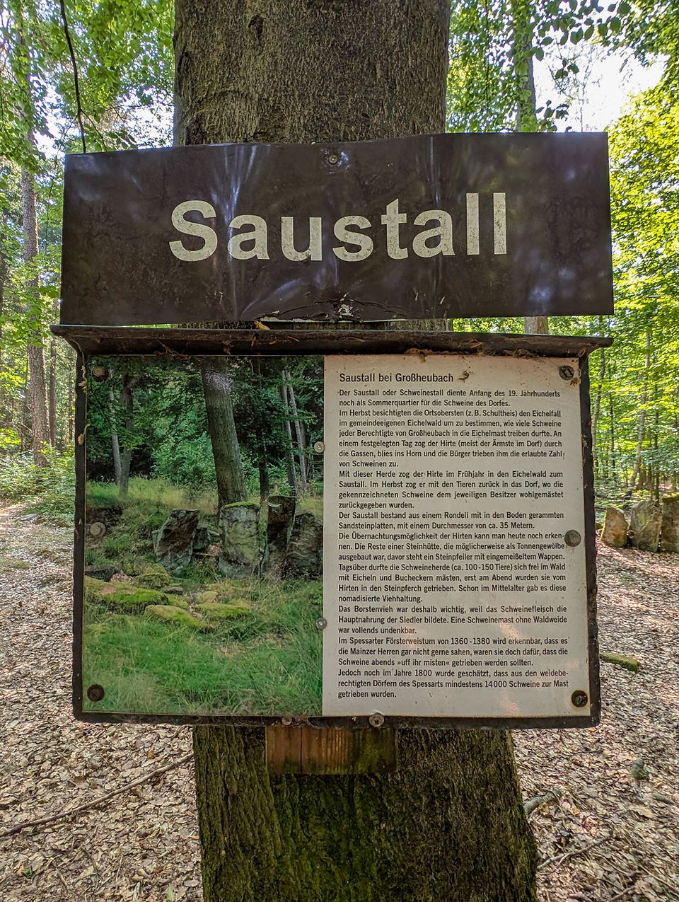 Saustall