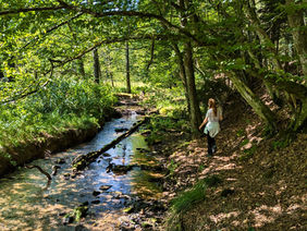 Von Jakobsthal nach Heigenbrücken - über die Spessartwiesen zurück
