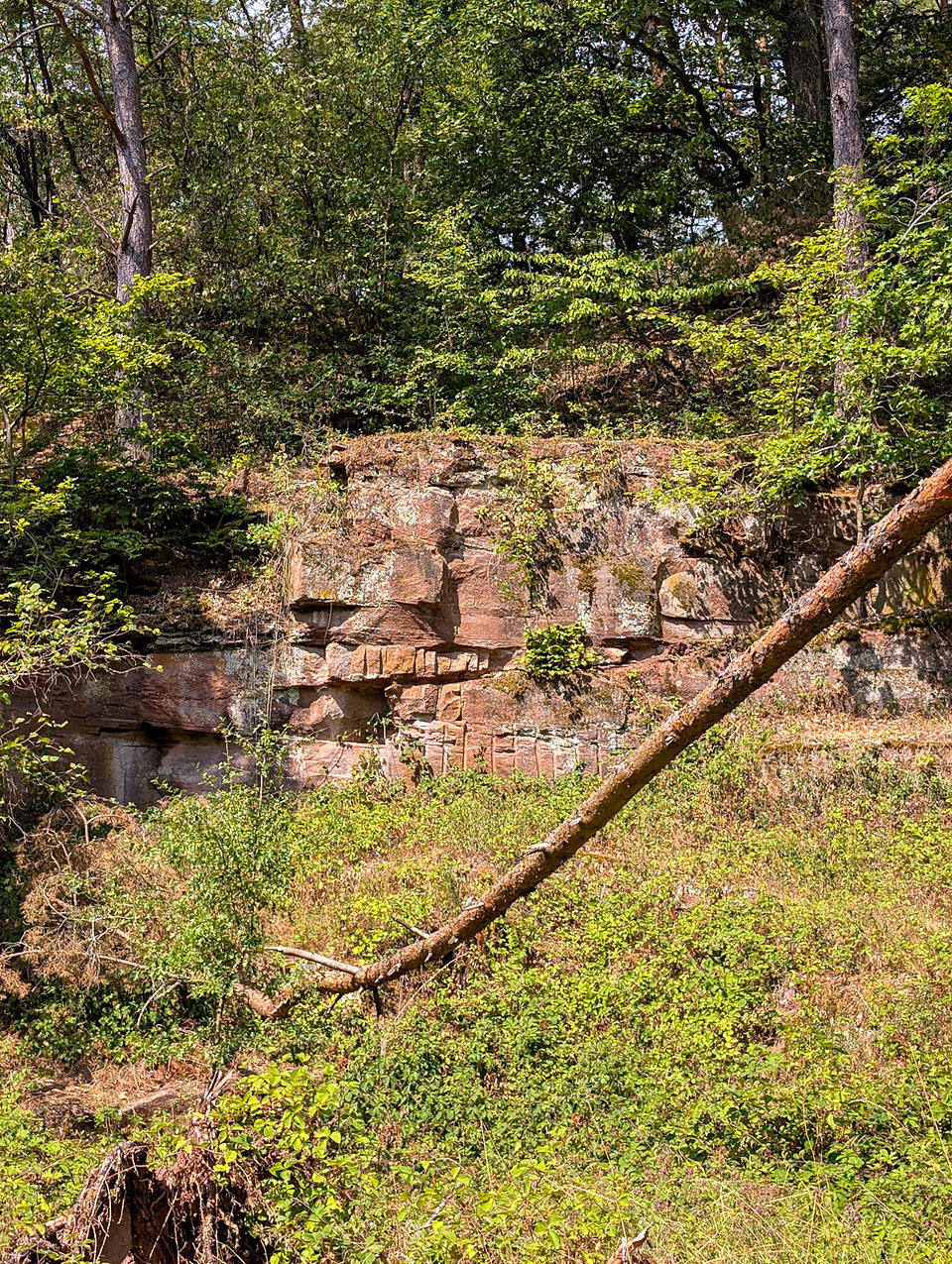 Steinbruch