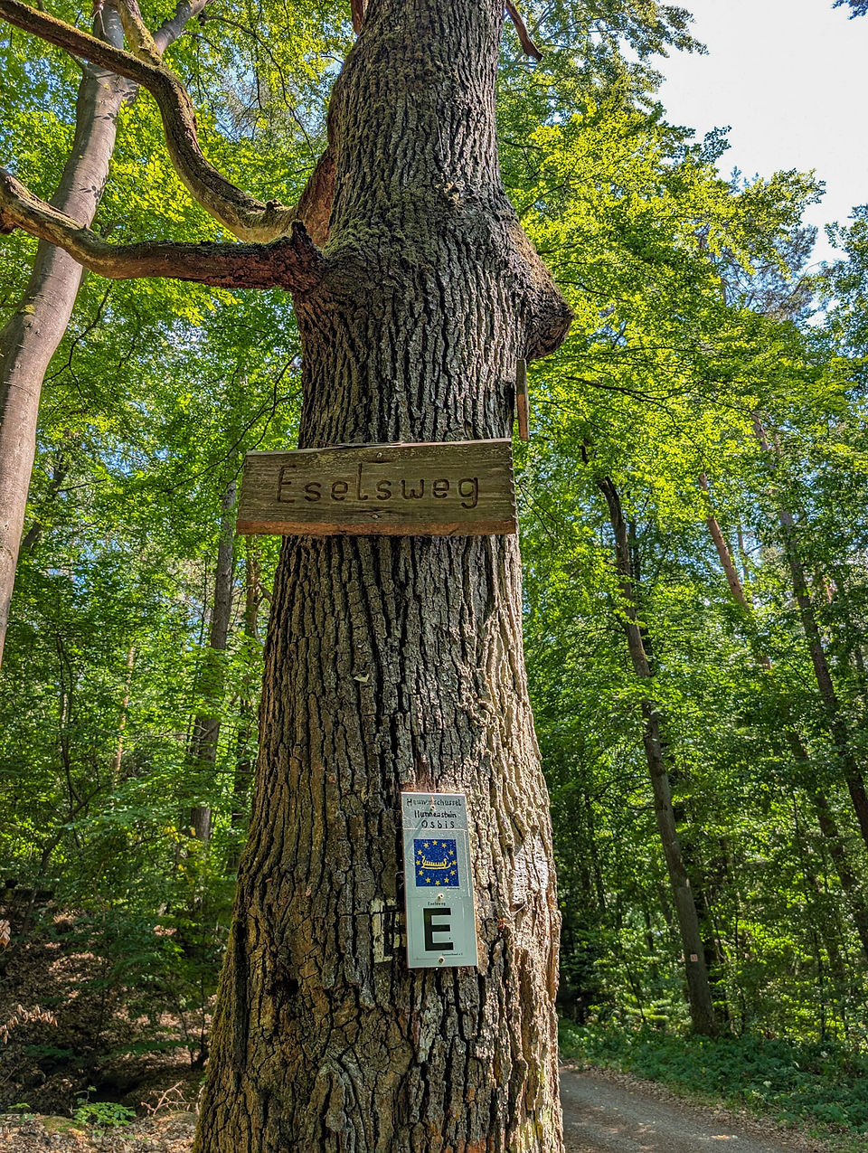 Eselsweg Wegweiser
