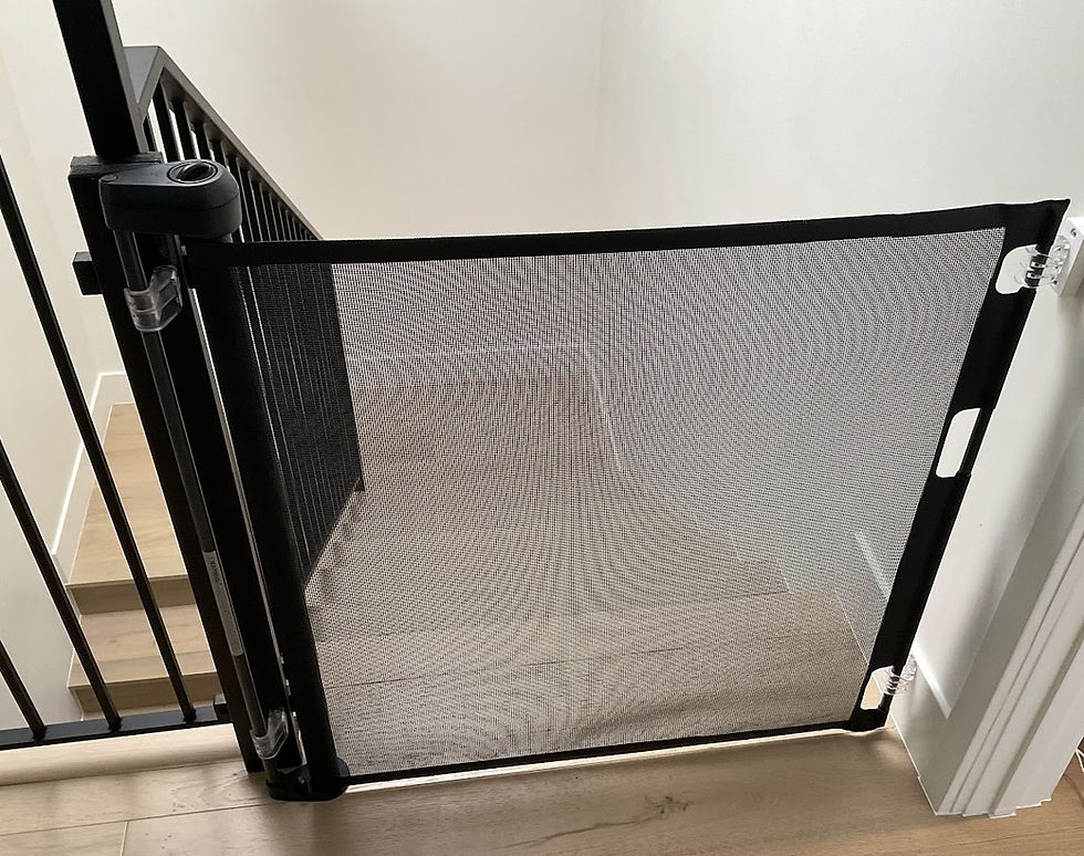 Retractable Gate