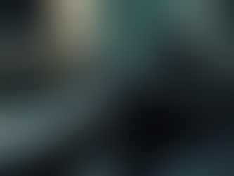 Portrait image of a rifle with the background blurred.