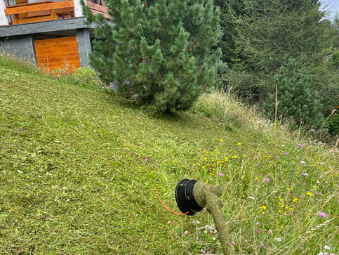 Mähen einer großen Wiese von Gerald Peter Maier