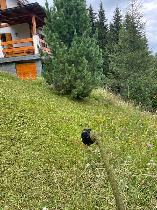 Mähen einer großen Wiese von Gerald Peter Maier