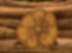 yage ayahuasca, el origen.jpg