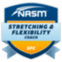 NASM 2.png