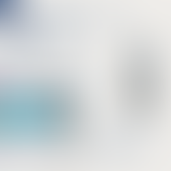 The Seashell Gallery NEWS LETTER 2025.12