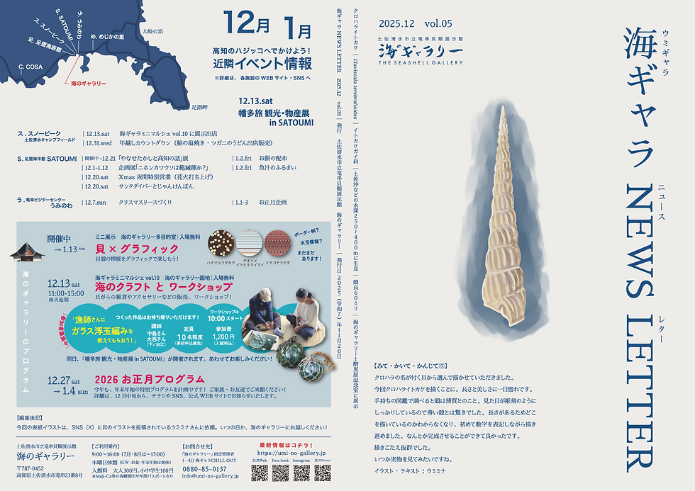 海ギャラNEWS LETTER 2025.12