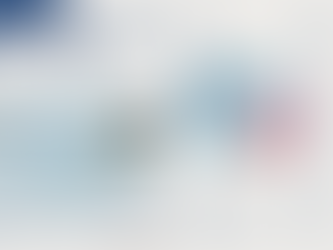 THE SEASHELL GALLERY NEWS LETTER 2026.2