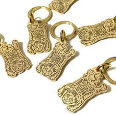 Tibetan 猫　イラスト