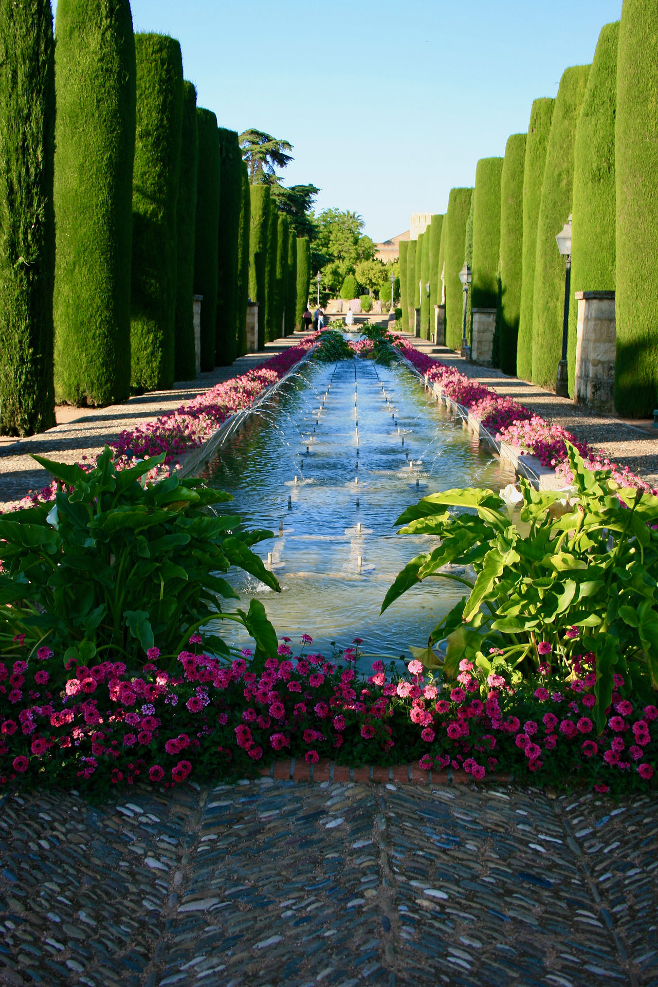 One pond on the kings walk