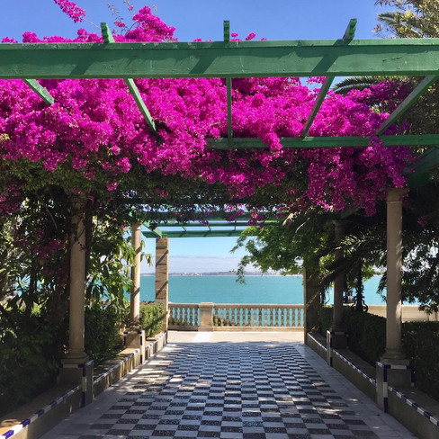 Jardines de Alameda Apodaca