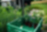 240623-181355-oliverospelt.com.jpg