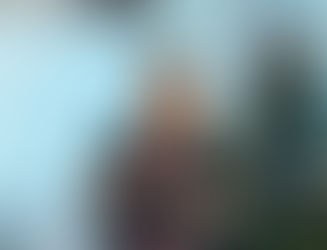 Presidente veta integralmente o Projeto de Lei sobre a desconsideração da personalidade jurídica