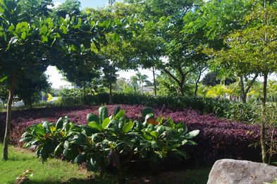 Corner Area.JPG