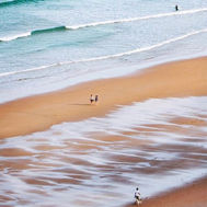 Cote des Basques2.JPG