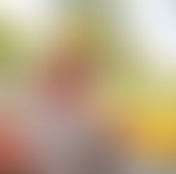 Cómo afecta el calor a los perros y cómo evitar un golpe de calor