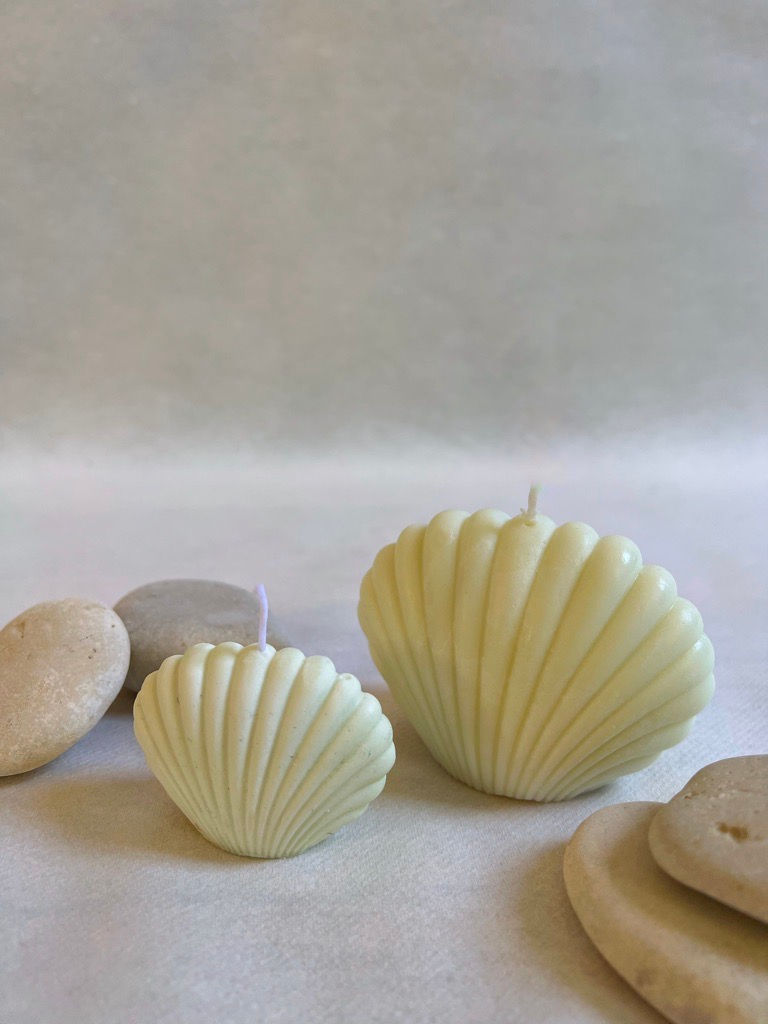 coquillage