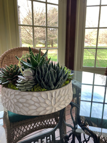 Sunroom Bowl