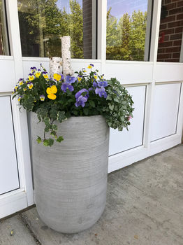 2021-05-20 08.54.55.jpg