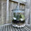 Thumbnail: Terrarium