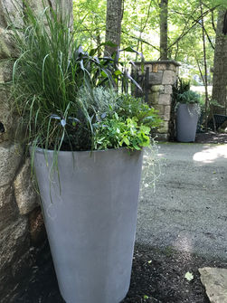 2021-09-08 11.53.45.jpg