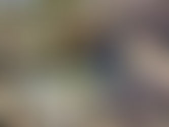 How to Keep your Pond Beautiful Year-Round