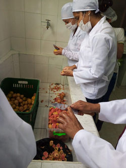 Proyecto de Agroindustria