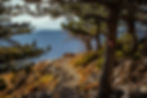 Untitled-5-Recovered.jpg