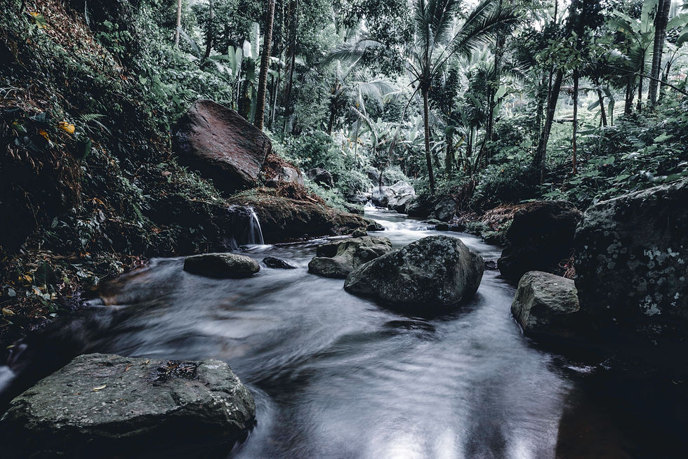 Ubud, Bali 2019