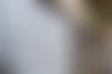 Whoopi Goldberg and "the view" cast loses it over ten commandments in schools