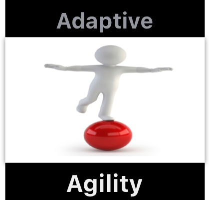 Adaptabilidad y agilidad.png