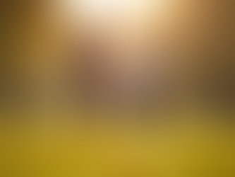 Book Your Unique Photography Session Today: Family, Pets, Events