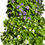 Miniatura: foto do produto