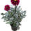 Miniatura: foto do produto
