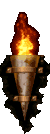 torch.gif