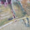 Thumbnail: Annie Field "Road To Verselia I"
