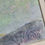 Thumbnail: Margaret King "Fruits on the table"