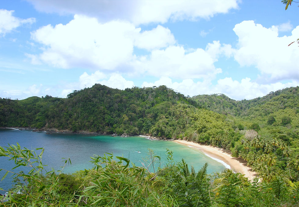 Thumbnail: Trinidad & Tobago Luxury Polo