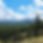 View of mountains and coniferous forest on a sunny day