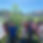 Group of children learning outside