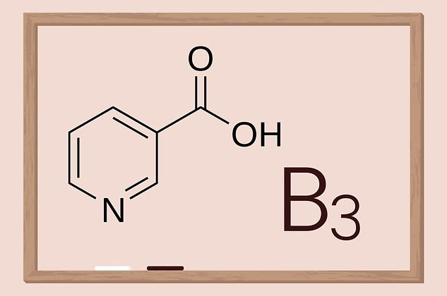 B3.jpg