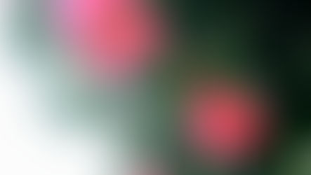 「介護者の心のやすらぎカフェ」開催のご案内（2024年1月）