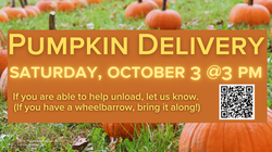 Pumpkin delivery 2026 (Presentation) (1)