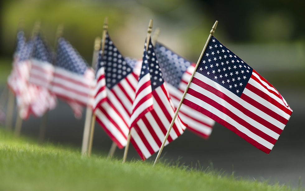 Row of American flags on green lawn