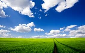 Green field under a blue sky with white clouds
