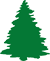Green pine tree silhouette on a black background