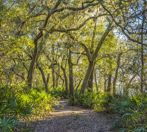 Florida Panhandle