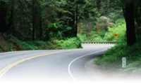 Winding road through a lush green forest.