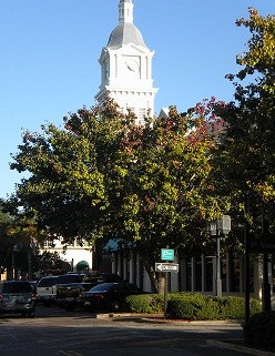White clock tower rising behind lush green trees
